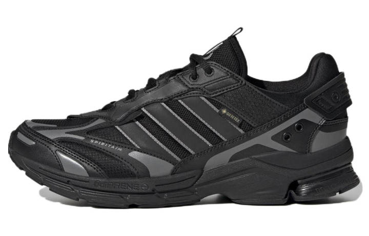 Adidas Spiritain 2000 Adidas GORE-TEX 'Black Dark Grey'