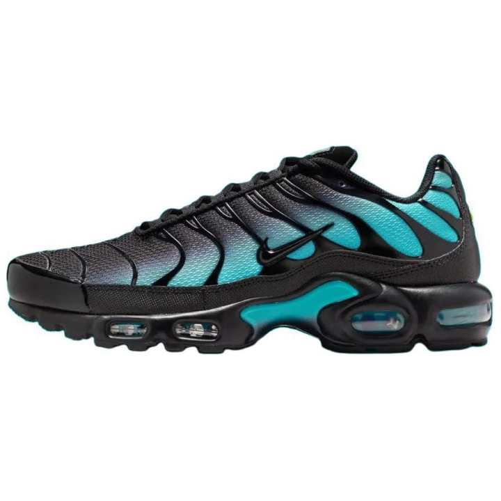 Nike Nike Air Max Plus Black Dusty Cactus