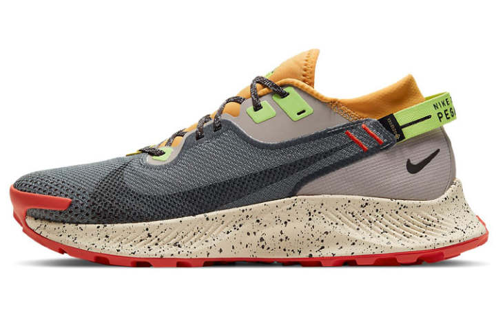 Nike Nike Pegasus Trail 2 Gore Tex Smoke Grey Bucktan