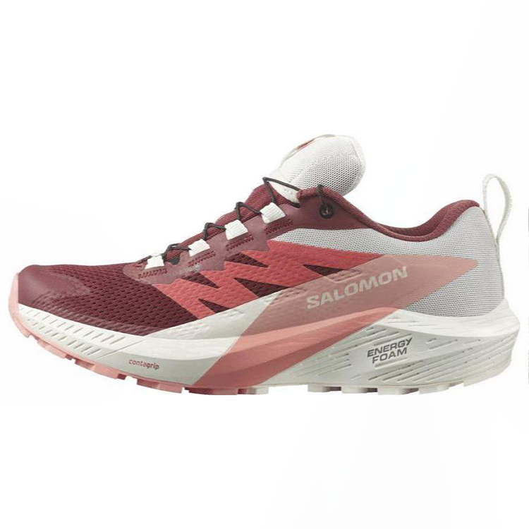 SALOMON Sense Ride 5 Wmns Salomon GORE-TEX 'Syrah Peach Amber' Women's