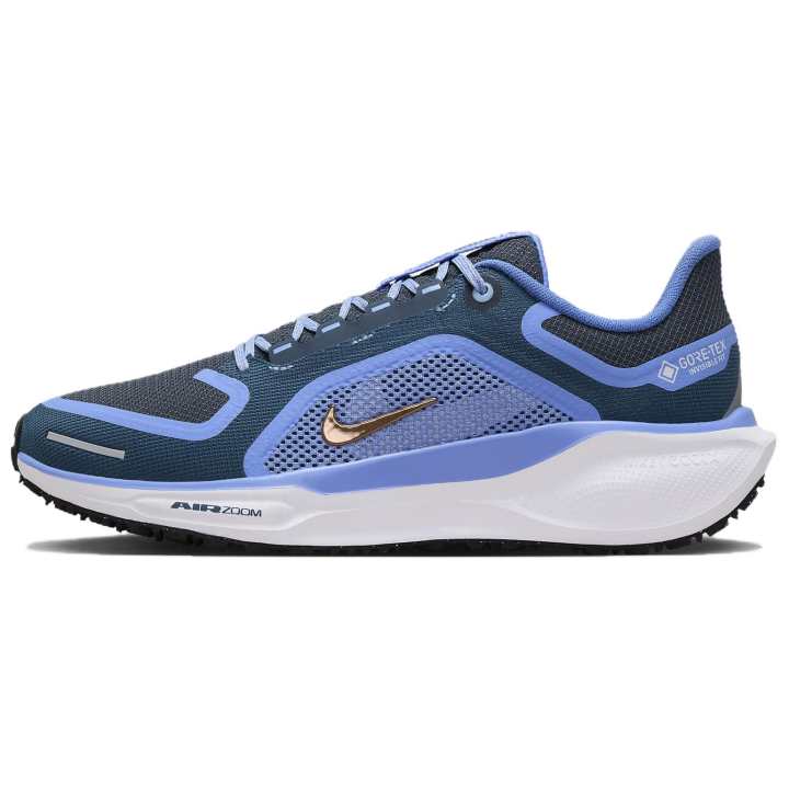 Nike Nike Air Zoom Pegasus 41 Gore Tex Cobalt Women's