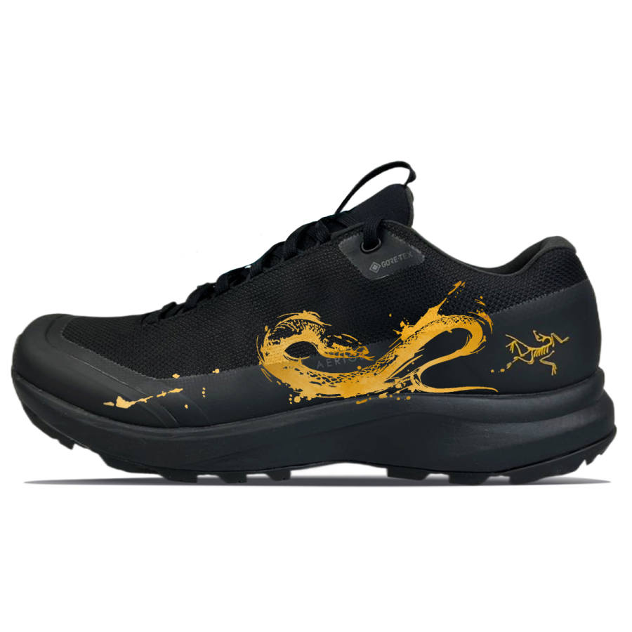 Arcteryx Arc'teryx Aerios Fl 2 Abrasion Resistant Low top Outdoor Shoes Unisex Black