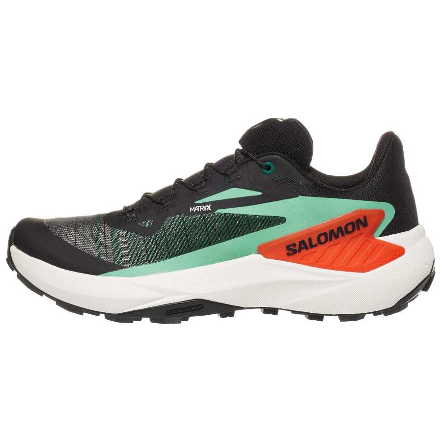 SALOMON Genesis Salomon 'Black Green Cherry Tomato'