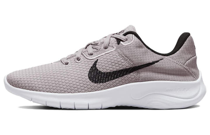 Nike Nike Flex Experience Run 11 Next Nature 'Amethyst Ash' Women's