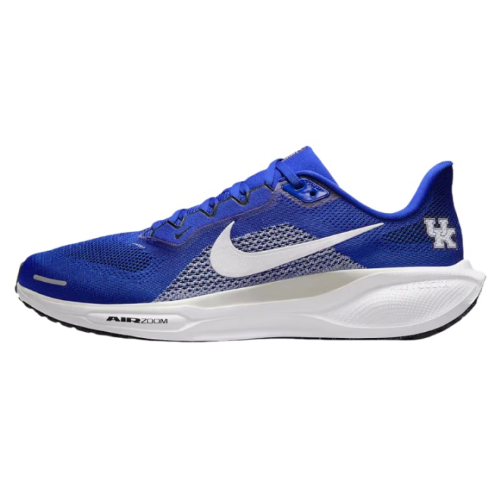 Nike Nike Pegasus 41 Abrasion Resistant Breathable Abrasion Resistant Breathable Low top Running Shoes Unisex Blue White