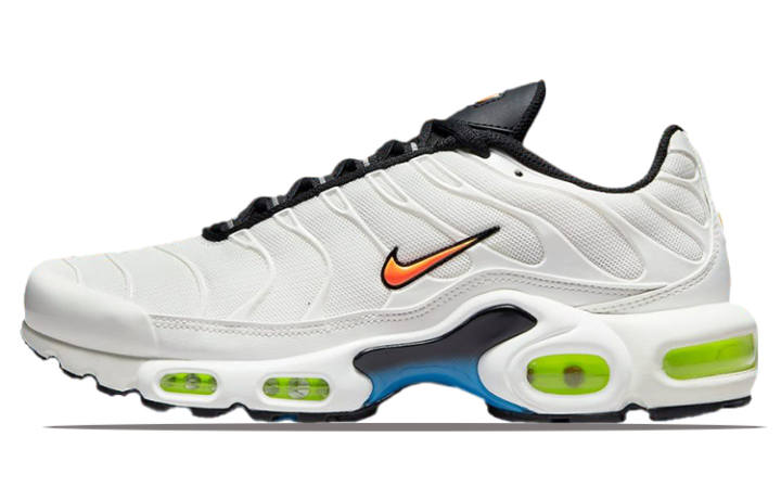 Nike Nike Air Max Plus 'Nerf' Women's