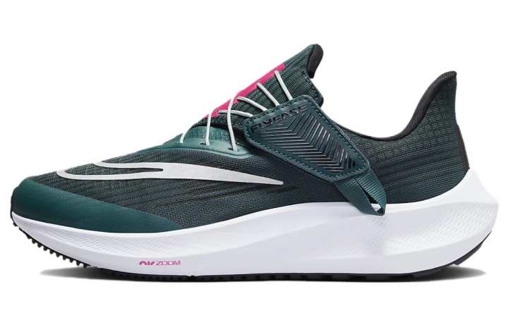 Nike Nike Air Zoom Pegasus 39 FlyEase 'Deep Jungle Metallic Silver' Women's