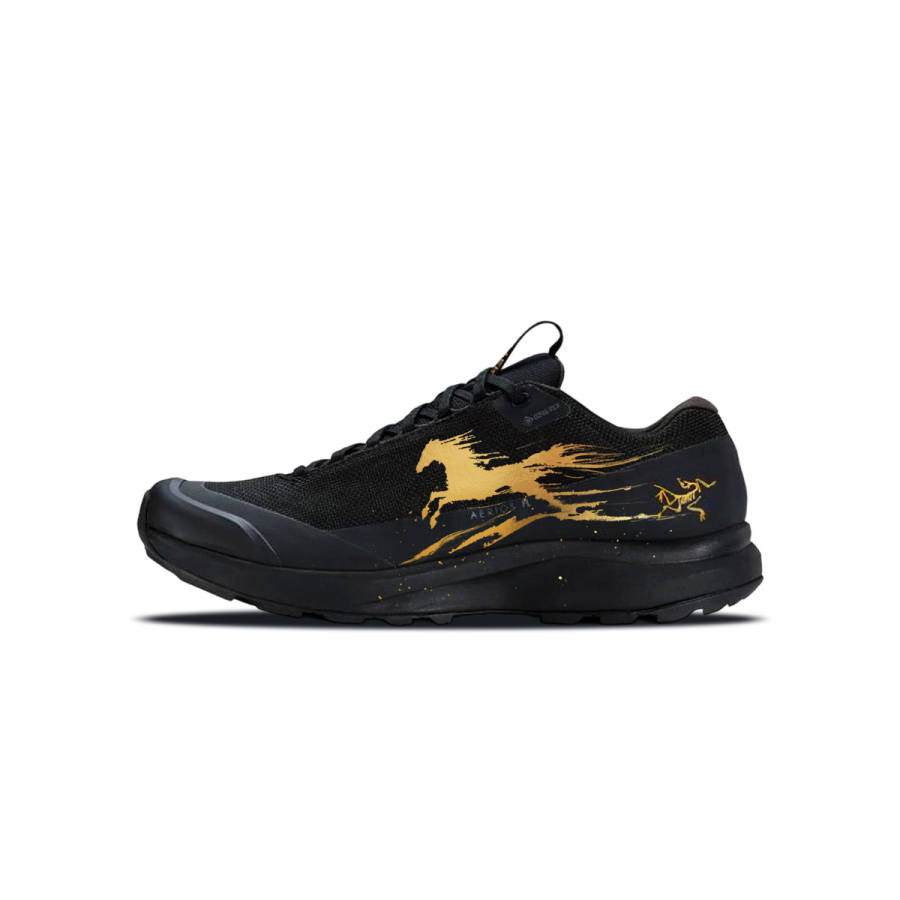 Arcteryx Arc'teryx Aerios FL Abrasion Resistant Waterproof Lightweight Low top Outdoor Shoes Unisex