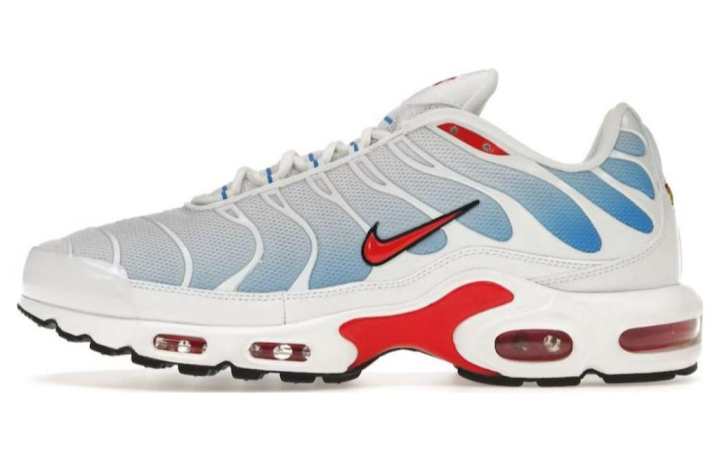 Nike Nike Air Max Plus Tide 2022