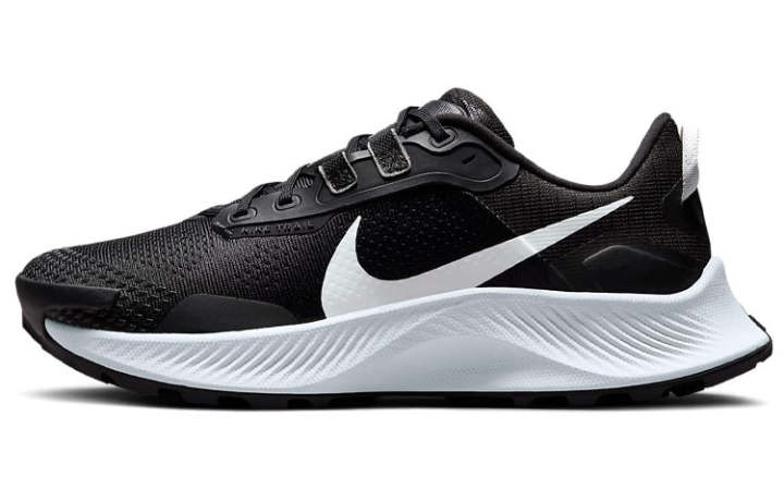 Nike Nike Pegasus Trail 2 Black Platinum Women's