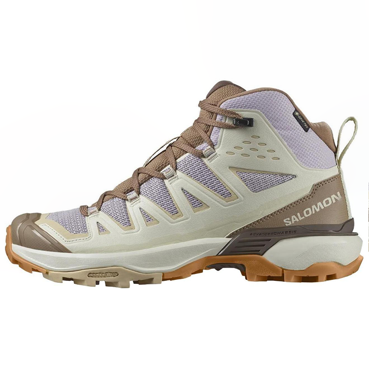 SALOMON X ULTRA 360 Mountaineering & Hiking Shoes Women's High Top Brown Purple
