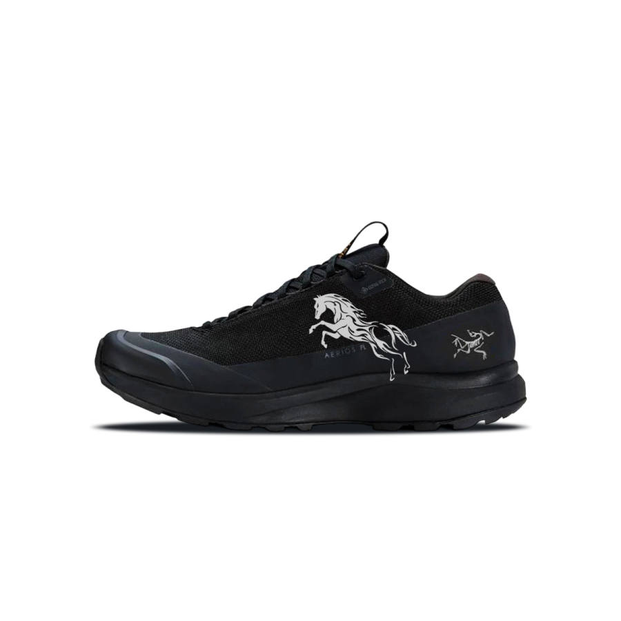 Arcteryx Arc'teryx Aerios Fl 2 Abrasion Resistant Low top Outdoor Shoes Men's Black