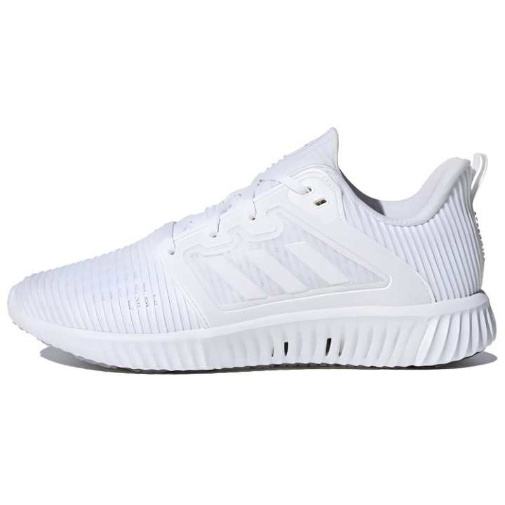 Adidas Adidas Wmns Climacool Vent 'Footwear White' Women's
