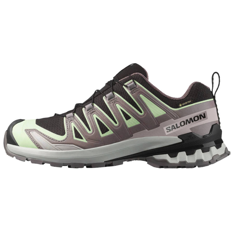 SALOMON XA Pro 3D V9 Mountaineering Shoes Women's