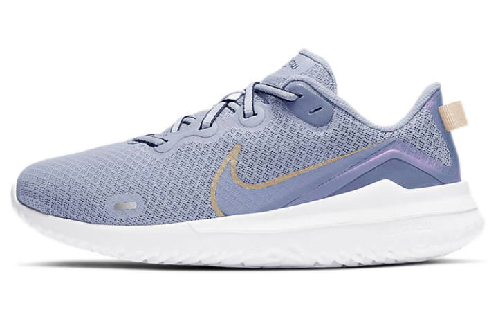 Nike Nike Renew Ride Blue/Pink Women's