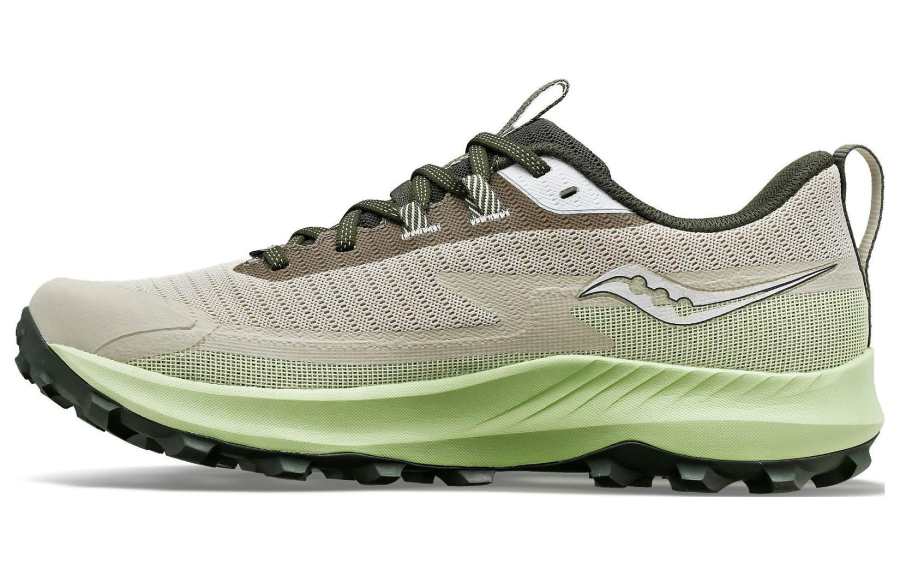 saucony Peregrine 13 GORE-TEX 'Dust Umbra'