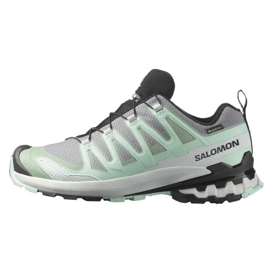 SALOMON XA Pro 3D V9 Fabric Breathable Cushioning Abrasion Resistant Low top Mountaineering & Hiking Shoes Women's
