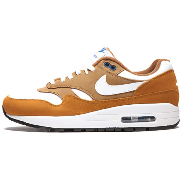 Nike Nike Air Max 1 Curry 2018
