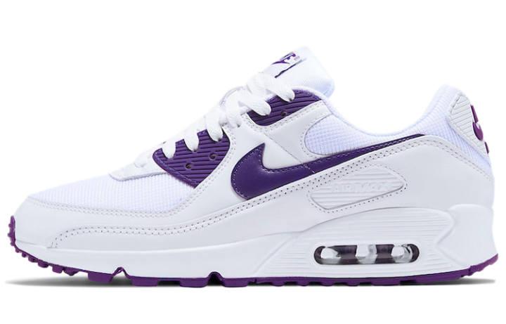 Nike Nike Air Max 90 Color Pack Court Purple