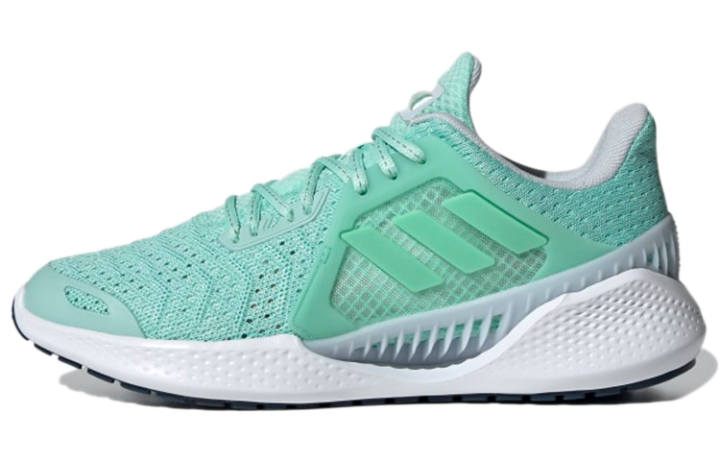 Adidas Adidas Climacool Vent 'Peppermint Green' Women's