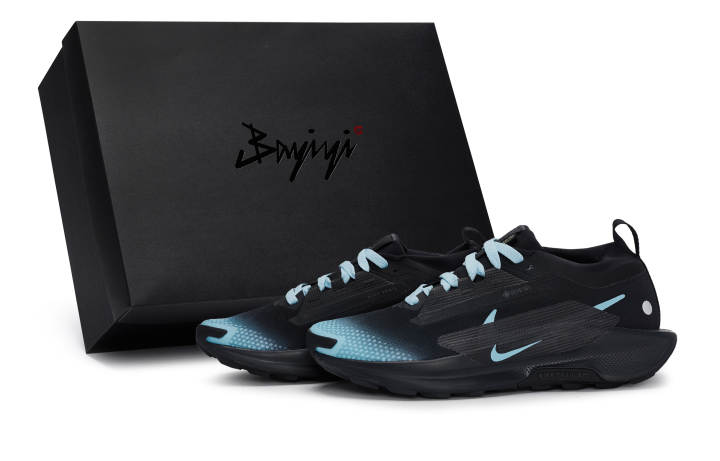 Nike Nike Pegasus Trail 5 Abrasion Resistant Low top Running Shoes Men's Black Blue