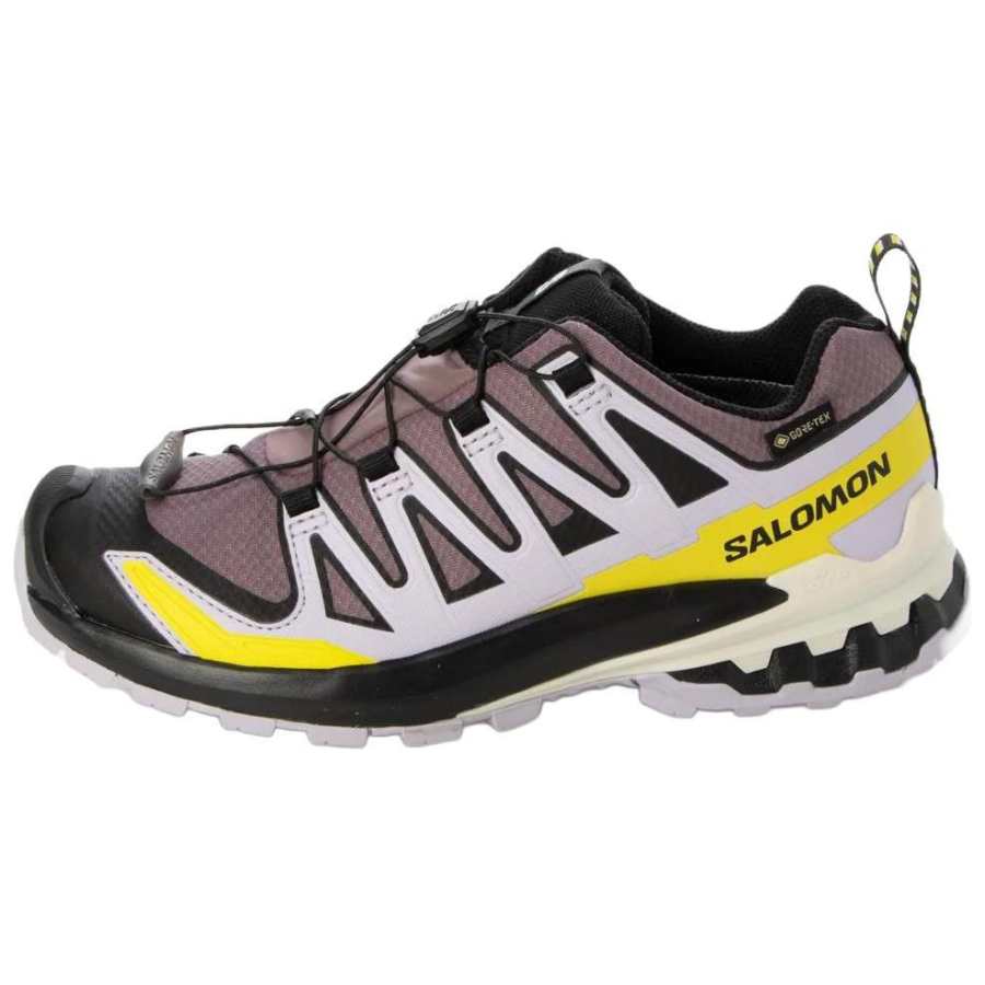 SALOMON Xa Pro 3D V9 Wmns Salomon GORE-TEX 'Moonscape Orchid Petal Sulphur' Women's
