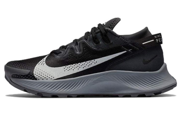 Nike Nike Pegasus Trail 2 Dark Smoke Grey Women's