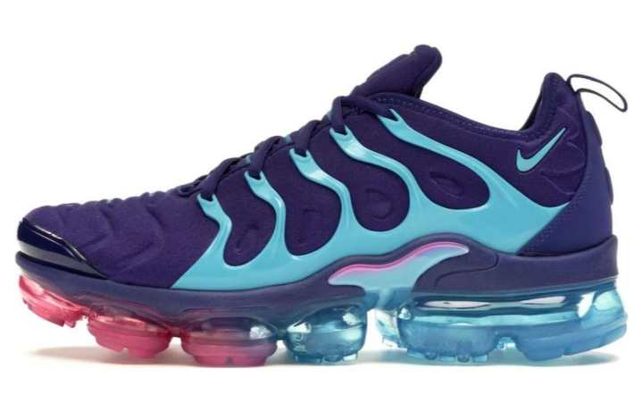 Nike Nike Air VaporMax Plus Hornets