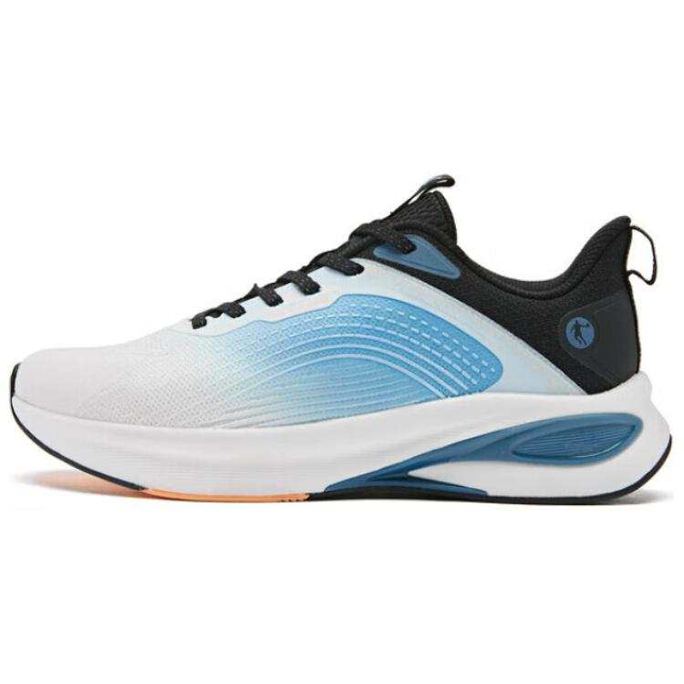 QIAODAN Cushioning Lightweight Low top Running Shoes Men's Blue White Black