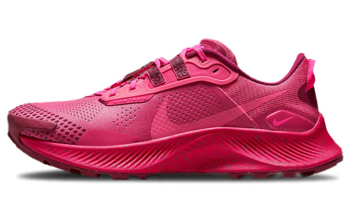 Nike Nike Pegasus Trail 3 Gypsy Rose Women's