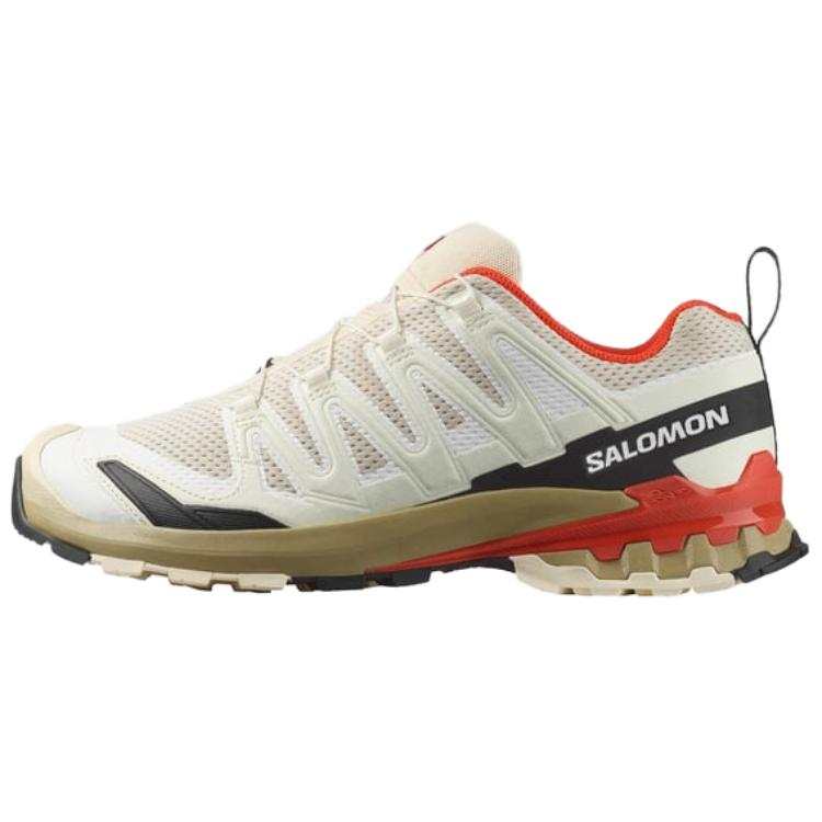 SALOMON XA Pro 3D V9 Hiking Shoes Men's Beige