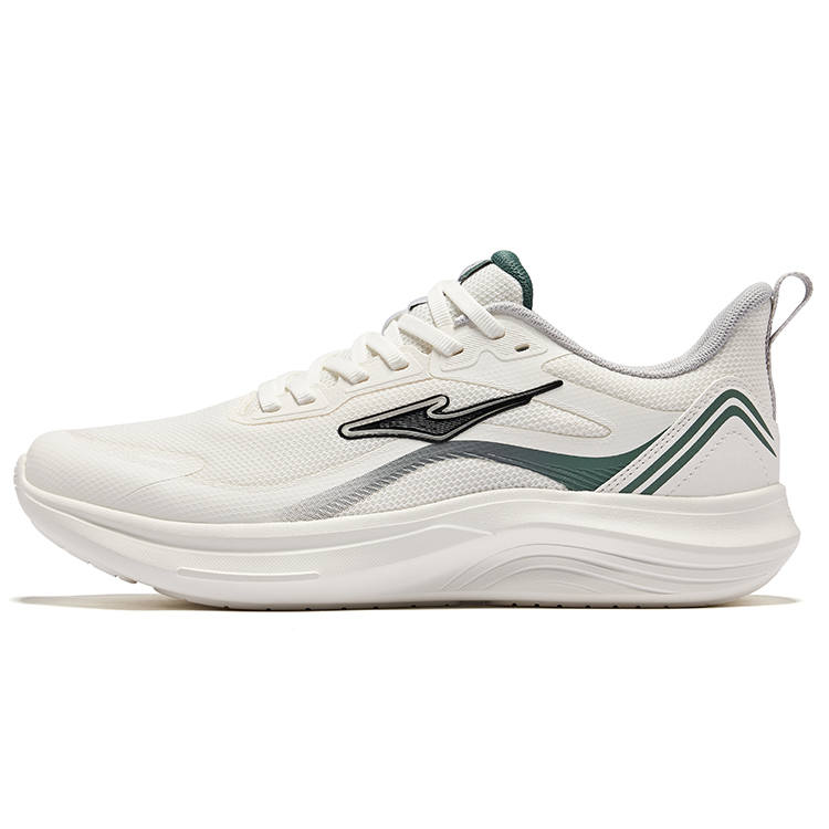 Erke Cushioning Breathable Low top Running Shoes Men's Microcrystal White Pine Frost Green