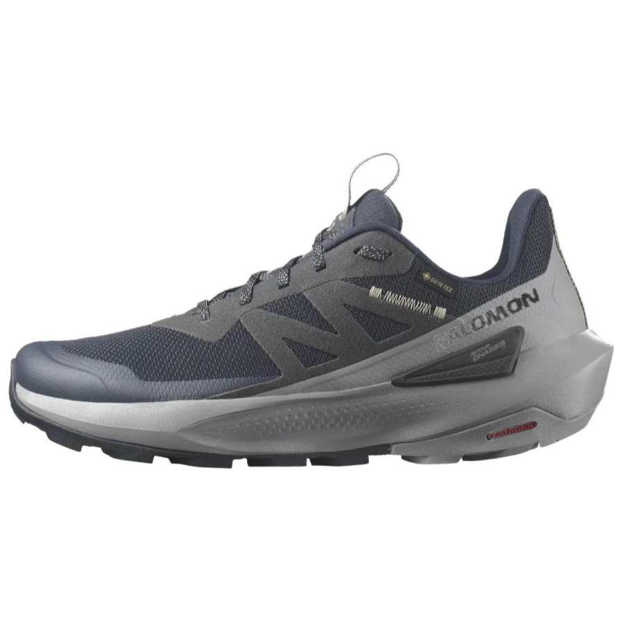 SALOMON Elixir Activ Salomon GORE-TEX 'Carbon Slate Green'