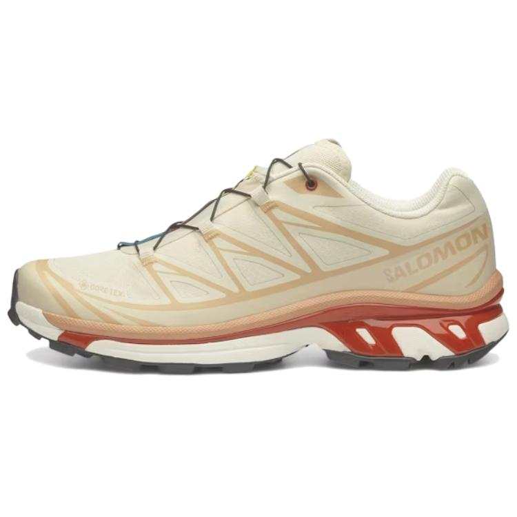 SALOMON XT 6 GORE TEX 'Almond Milk Burnt Ochre'