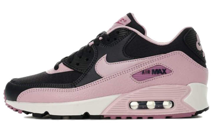 Nike Nike Air Max 90 'Plum Chalk' Women's