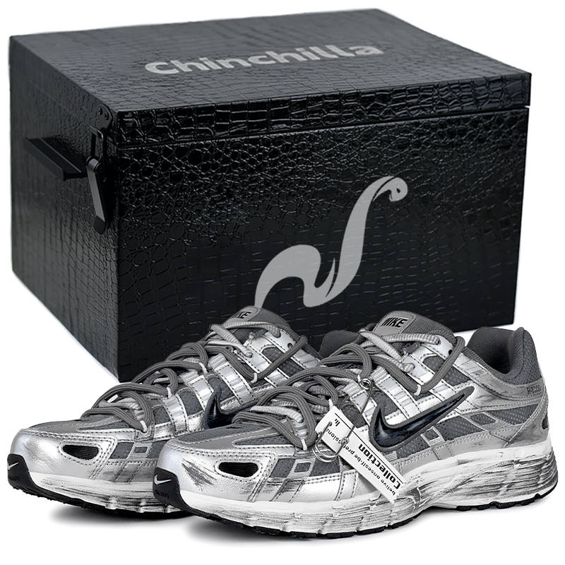 Nike Nike P 6000 Cushioning, Wear Resistant Low top Casual City Commuting Running Shoes Unisex Silver