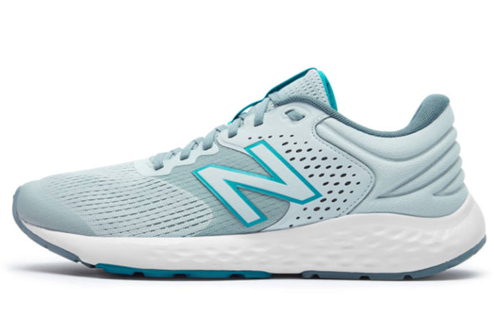 New Balance New Balance 520 Shoes Grey/Blue