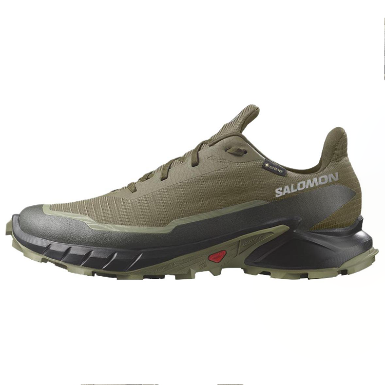 SALOMON SALOMON Alphacross 5 GORE-TEX 'Olive Night Black'