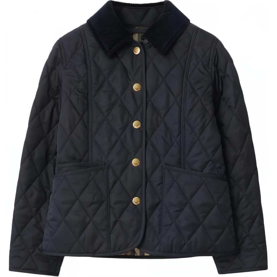 Burberry Kids Padded Jackets Lapel Moderate