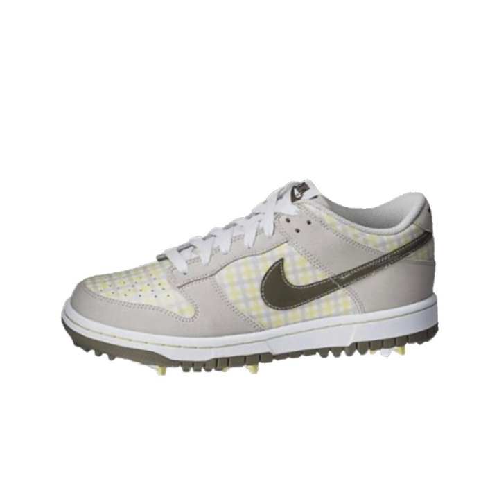 Nike Nike Dunk NG Golf Abrasion Resistant Breathable Low top Golf Shoes Unisex Gray