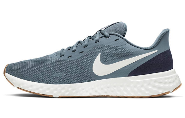 Nike Nike Revolution 5 Ozone Blue