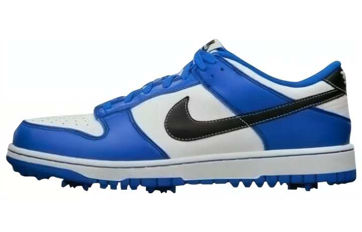 Nike Nike Dunk Ng Golf 'White Blue Black'