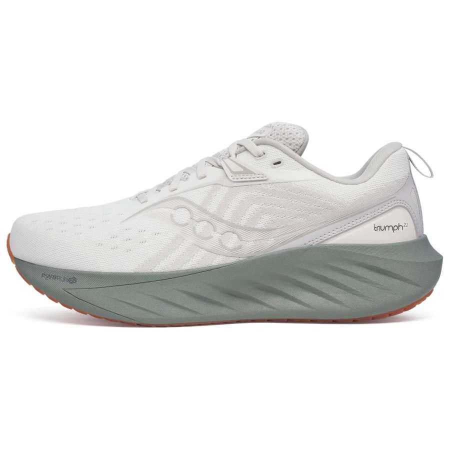 Saucony Saucony Triumph 22 Moon Bough