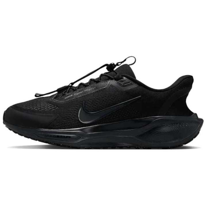 Nike Nike Air Zoom Pegasus 41 EasyOn Black Anthracite