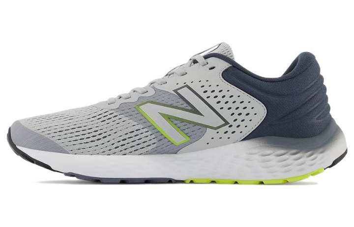 New Balance New Balance 520 V7 'Grey'