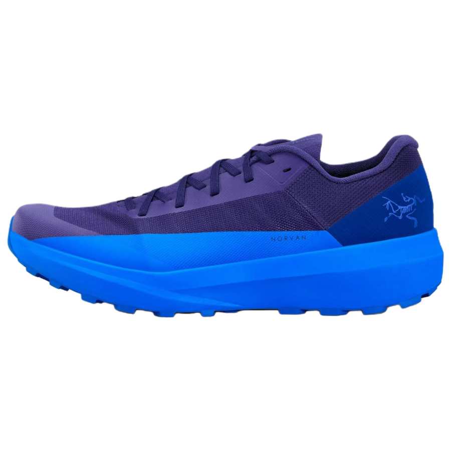 Arcteryx Arc'teryx Cushioning Abrasion Resistant Breathable Support Low top Running Shoes Men's Purple Blue