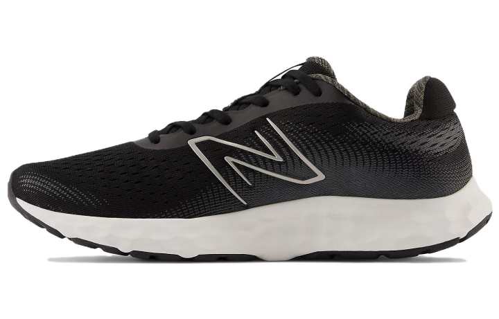New Balance New Balance 520 V8 'Black White'