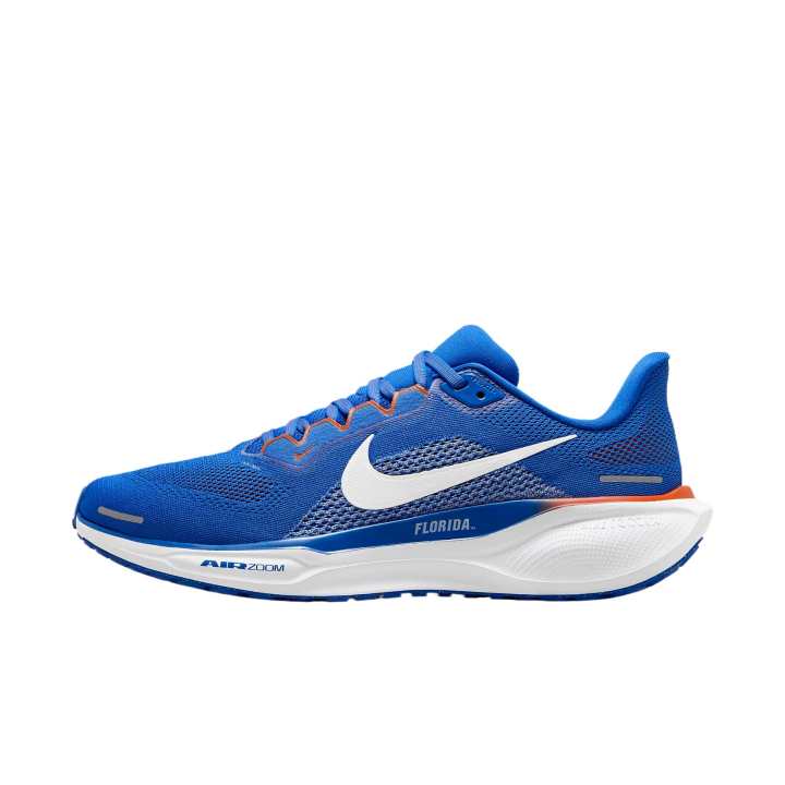 Nike Nike Air Zoom Pegasus 41 Florida