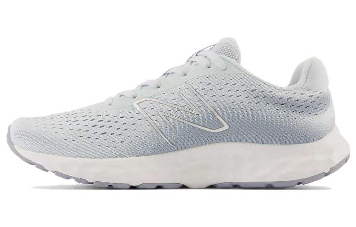 New Balance New Balance 520 V8 'Grey' Women's