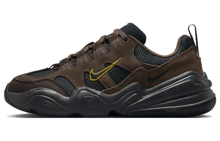 Nike Nike Tech Hera Cacao Wow Women's